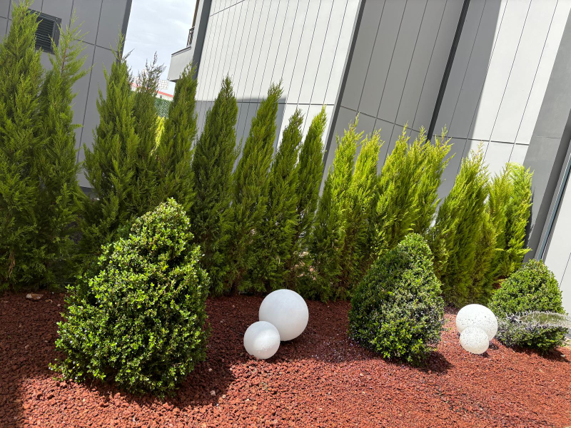 Bahçe Tasarımı ve Uygulama